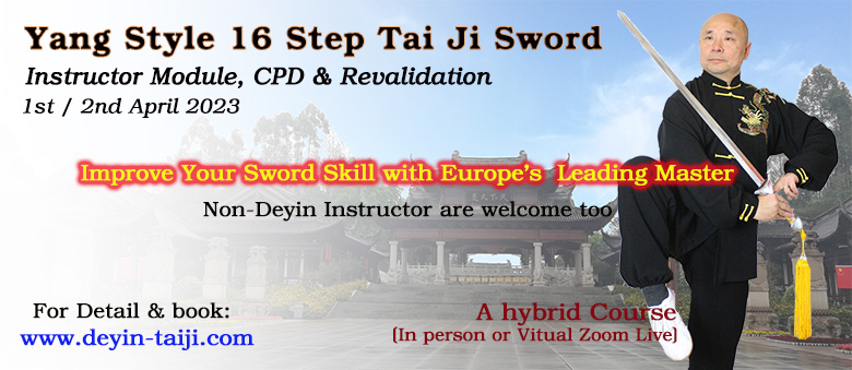 Yang Style Tai Ji Sword - 16 Step