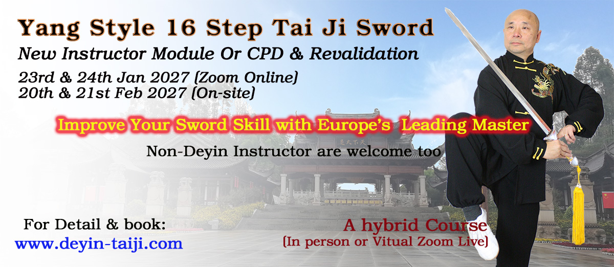 16 Step Yang Style Tai Chi Sword Instructor Module