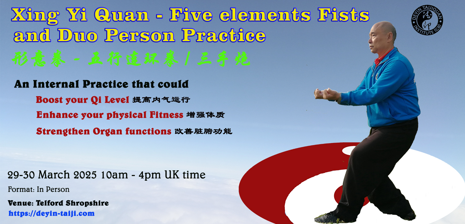 Xing Yi Quan - 5 Elements Linking Fist and Duo practice