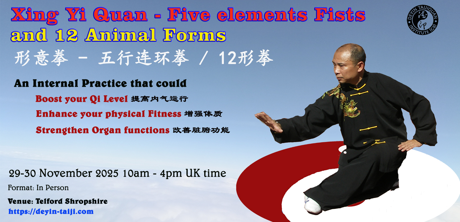 Xing Yi 5 elelments and 12 animals weekend